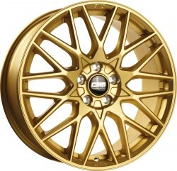CMS C25 GULD 19"
             JHC25-809-50-60S-CGOLD